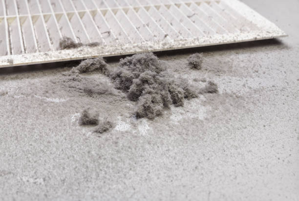 Best Dryer Vent Cleaning Services  in Boscobel, WI